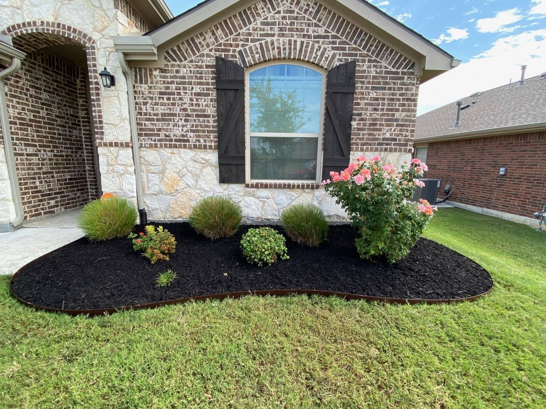 Metal-edged flower bed with fresh mulch, roses and shrubs