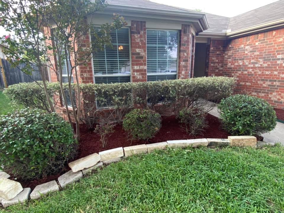 Residential front flower bed after cleanup, trimming and fresh mulch