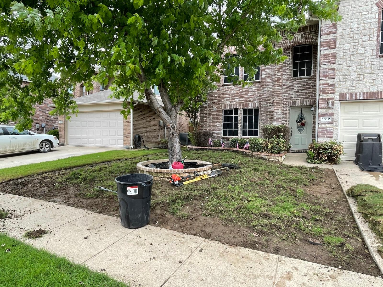 Front lawn before residential restoration