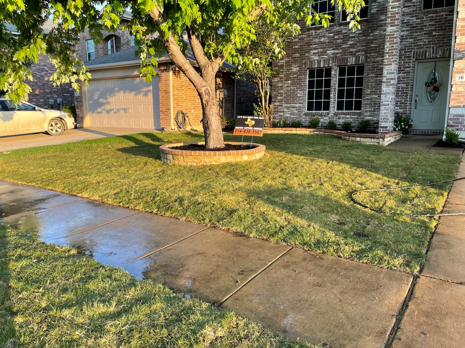 Finished residential front lawn after restoration