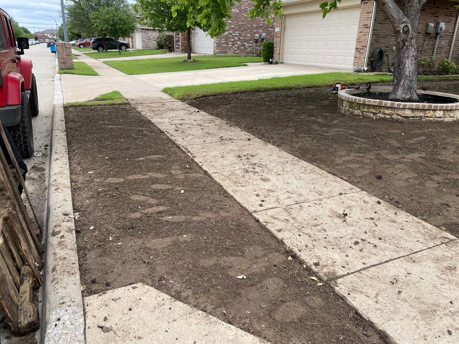 Front lawn cleared and prepared for restoration