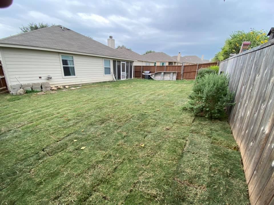 Residential backyard covered with newly installed sod
